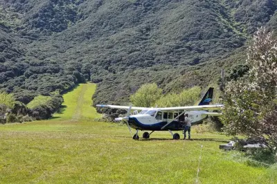 Voo panorâmico em Queen Charlotte Sounds: Pouso em praia remota