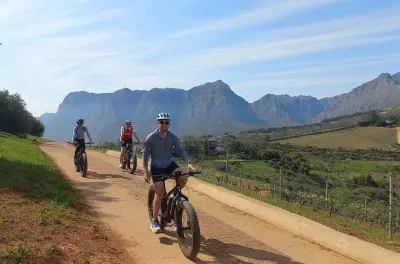 Stellenbosch E-bike Wine Tour: Banhoek Valley, two tastings