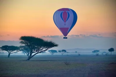 Schwebe bei sonnenaufgang über die dünen von ras al khaimah, entdecke wüstentiere und erlebe eine kurze safari. inklusive abholung, snacks und unterschriebenem flugzertifikat.