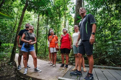 Découvrez la daintree depuis port douglas avec une croisière sur la rivière, des balades en forêt tropicale, un déjeuner au bord de cooper creek et la prise en charge à l’hôtel.