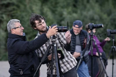 Feel alaska’s wild side on a denali photo tour—just 4 guests, pro photo guide, real-time light chasing, gear included. includes pickup and accessible for all.