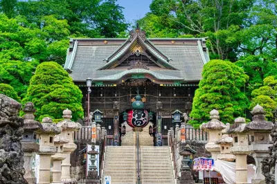 Visite privée de Narita-san depuis Tokyo : 4,5 heures