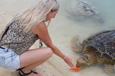 Snorkeling in Port Vila: Choose Your 3 Stops