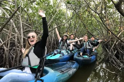 Glide through cocoa beach’s mangrove tunnels by kayak, spot manatees and dolphins up close, and paddle the thousand islands with a small group. includes gear and photos.