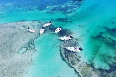 Sinta a emoção de pilotar seu próprio mini barco pelas águas selvagens de key west, faça snorkel na areia de mud key, veja golfinhos e aproveite um passeio guiado em grupo pequeno.