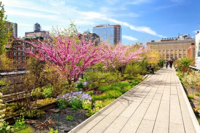 Start your morning on manhattan’s high line, stroll chelsea’s art-filled streets, and sample flavors at chelsea market—small group tour with a local guide included.