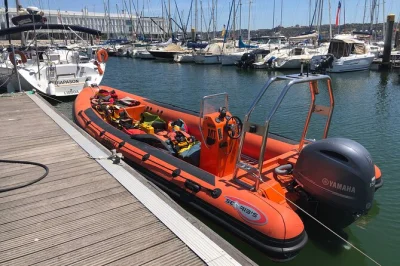 Vivi l’emozione di sentire i delfini, scorgere balene e uccelli marini lungo la costa di lisbona, navigando davanti alla torre di belém. tutto incluso: giubbotti, binocoli e equipaggio locale.