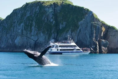 Partez de seward pour une croisière d’une journée dans les kenai fjords : observez baleines, loutres de mer et macareux, admirez les glaciers et profitez d’un déjeuner à bord avec commentaires
