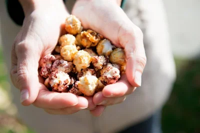 Savor bar harbor’s flavors on a food walking tour with lunch, local stories, and stops near the harbor. includes lunch, easy walk, and guide insights.