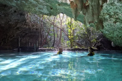 Nade nos cenotes escondidos de tulum e explore um rio subterrâneo com guia. inclui transporte, lanches, equipamento de snorkel e tempo livre para curtir no seu ritmo.