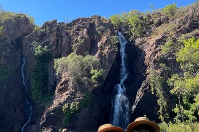 Disfruta de un baño en berry springs, recorre las cascadas de litchfield y comparte un picnic en esta excursión en grupo pequeño desde darwin. incluye recogida, guía y fruta fresca.