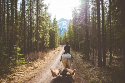 Respirez l’air frais des montagnes lors d’une balade à cheval d’une heure à kananaskis, entre paddocks de buffles et sentiers forestiers, accompagné d’un guide local. Équipement et taxes i