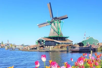 Découvrez les moulins de zaanse schans, dégustez du gouda frais dans une ferme près de volendam et assistez à la fabrication des sabots. chauffeur privé et dégustation inclus.