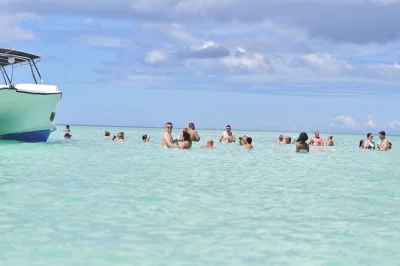 Saia de punta cana de lancha para saona island, nade na famosa piscina natural do caribe, aproveite um almoço típico dominicano e volte em um animado catamarã com festa.