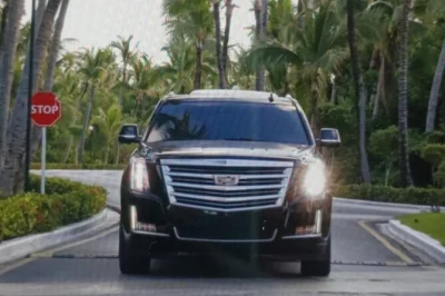 Transfer privado ida e volta do aeroporto de punta cana até hotéis em uvero alto. serviço seguro, confortável em suv com wifi. reserva fácil e rápida.