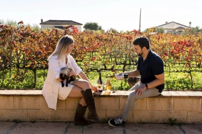 Erlebe ein bio-weingut bei malaga mit weinverkostung, hausgemachten tapas und spannenden geschichten vom winzer. inklusive abholung, kleine gruppe und kellerbesuch.