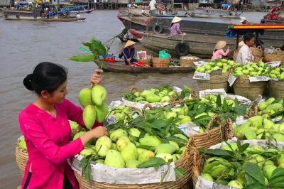 Früh aufstehen für den cai rang floating market, vietnamesische reisnudelsuppe am fluss probieren, durch my thos inseln schippern und ein leckeres mittagessen genießen – alles mit privatem transf