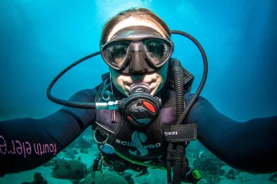 Esplora le colorate barriere coralline di curacao con immersioni guidate in piccoli gruppi, attrezzatura inclusa. guide locali, biscotti e foto sub gratuite—porta solo il tuo brevetto.
