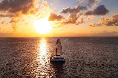 Feel the caribbean breeze on a riviera maya sunset sailing tour, enjoy light dinner, open bar, and round-trip hotel pickup. book for a relaxed evening at sea.