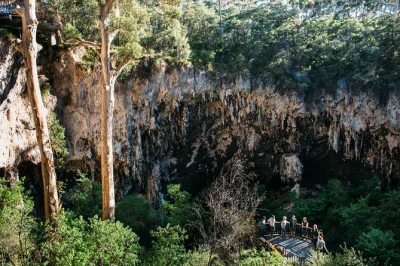 Step into lake cave’s sunken forest, descend the doline, and witness rare suspended formations reflected in the underground lake. includes one-hour guided tour.