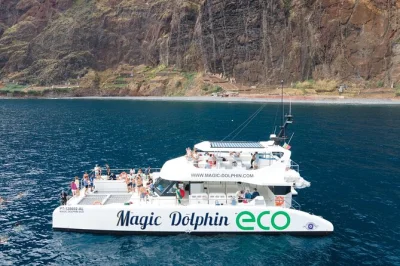 Feel the ocean breeze off madeira as you spot dolphins, whales, and sea turtles on a quiet eco catamaran with local guides. includes live commentary and snacks.