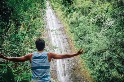Erlebe die frische regenwaldluft bei einer geführten wanderung zum manoa wasserfall ab waikiki, inklusive gesundem mittagessen am tantalus lookout und hin- und rücktransfer.