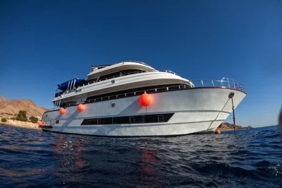 Feel the red sea’s pulse on a boat trip from aqaba—dive or snorkel with local guides, enjoy lunch on deck, and all equipment included. pickup at ayla marina.