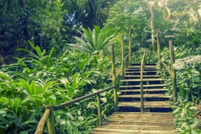 Feel the spirit of nadi on a guided day trip—temple visit, village walk, tropical gardens, and mud pools. includes hotel pickup, local guide, and all entry fees.