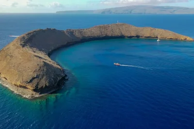 Erlebe den molokini krater und turtle town bei sonnenaufgang auf maui mit kleiner gruppe. inklusive hochwertigem schnorchel-equipment, snacks und lunch. früh starten, um den menschenmassen zu entgehe