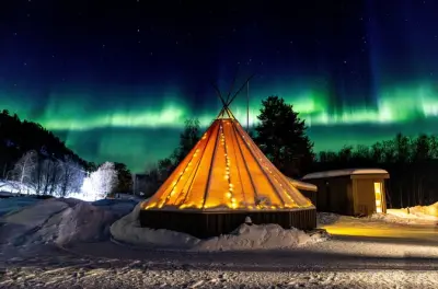 Evening Arctic Aurora Husky Visit near Alta: Meet 40+ Dogs