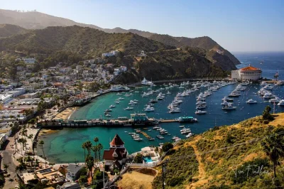 Descubre avalon en un tour privado en golf cart con guía local en isla catalina. disfruta vistas a la bahía, historias auténticas y paradas cómodas. todo incluido.