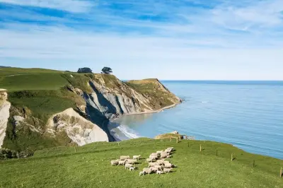 Christchurch Tagestour Schaffarm: Schafe füttern & Schur erleben