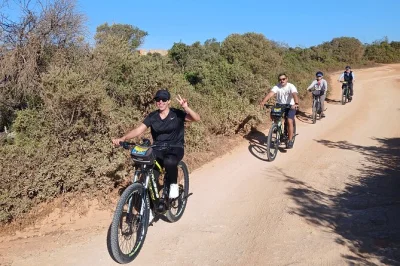 Vivi le scogliere dell’algarve con un tour in e-bike e a piedi da lagoa a benagil e marinha, accompagnato da una guida locale, gruppo ristretto e tutta l’attrezzatura inclusa. possibilità di pick