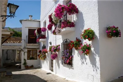 Descubre las alpujarras desde granada en una excursión de un día: pueblos blancos, degustaciones artesanales y opción de comida incluida. con guía experto y recogida.