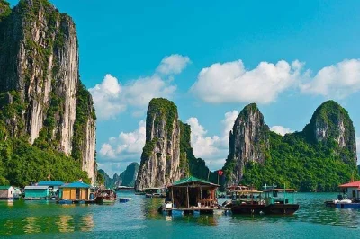 Halong bay ab hanoi: private tagestour mit boot, kajak oder bambusboot, höhlenwanderung und frischem meeresfrüchte-mittagessen inklusive abholung.