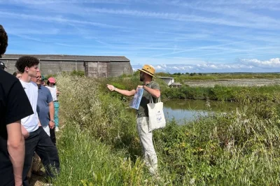 Découvrez les marais salants de guérande avec un guide local, apprenez les techniques ancestrales de récolte du sel et savourez la fleur de sel. plantes comestibles de saison et accès facile inclu
