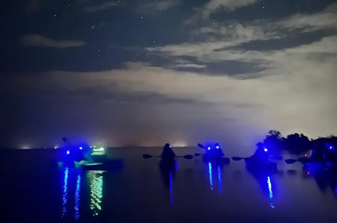 Kayak bioluminescent dans Indian River Lagoon : Balade nocturne