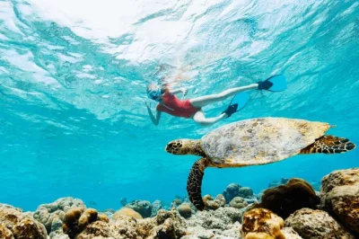 Swim with turtles in trou aux biches, taste mauritian snacks at port louis market, and explore fort adelaide—all with hotel pickup and a local guide included.