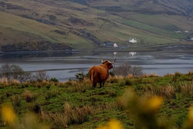 Isle of Skye and Fairy Pools tour from Inverness: 12 hours