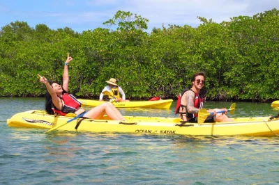 Glide by kayak through st thomas’ mangrove lagoon, snorkel with local wildlife, and hear stories from your guide. all gear, snacks, and lockers included.