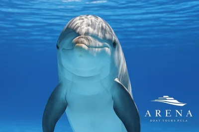 Erlebe die adriaküste bei einer delfin-tour ab pula mit abendessen, unbegrenzten getränken und lokalen guides. segle bei sonnenuntergang an den brijuni-inseln vorbei und entdecke delfine in freier w