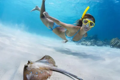 Feel the salt air as you snorkel coral reefs near st john, swim with turtles, and relax on quiet beaches. small group tour with gear, drinks, and boat ride included.