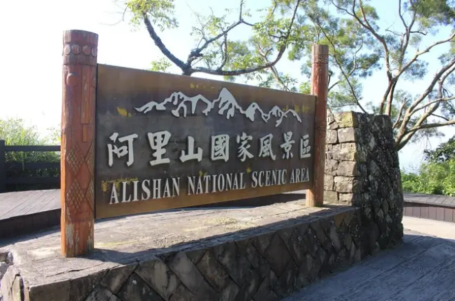 Alishan Waldtagestour: Zedernpfade & Bergblick