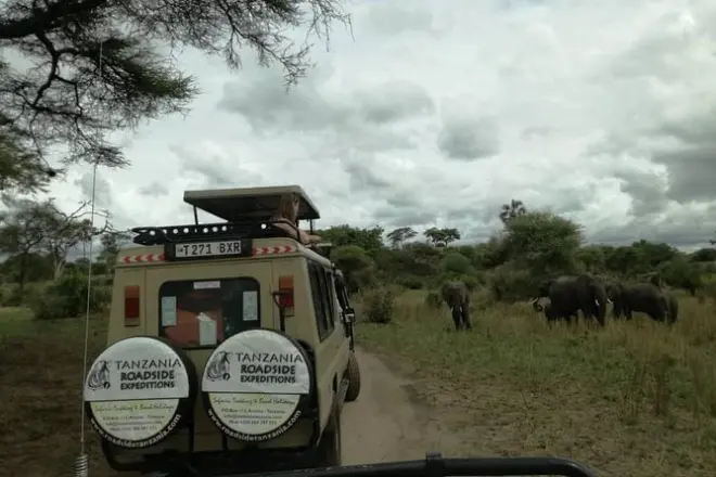 Safari 2 jours à Tarangire et cratère de Ngorongoro : Parc économique