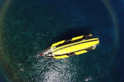 Entdecke den molokini krater beim schnorcheln, beobachte schildkröten bei makena und genieße hausgemachtes bananenbrot. inklusive ausrüstung, reef-safe sonnencreme und entspannter kleingruppe.