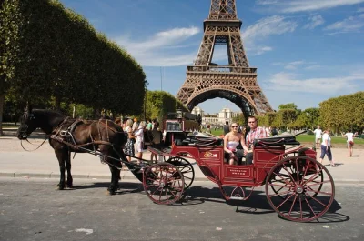 Découvrez paris en calèche privée, avec champagne, en passant par la tour eiffel, les champs-Élysées et le pont alexandre iii. plaids douillets inclus pour un moment magique.