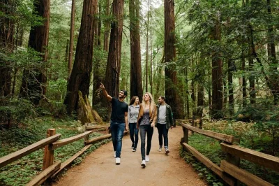 Découvrez san francisco à travers chinatown, promenez-vous parmi les séquoias millénaires de muir woods et déjeunez au bord de l’eau à sausalito. transport et guide local inclus.