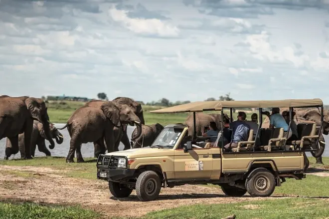 Excursión de un día al parque nacional Chobe: Safari y paseo en bote