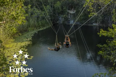 Scopri i cenotes dello yucatan in un tour di gruppo da cancun o playa. include snack, pranzo picnic gourmet, attrezzatura completa e pick-up in hotel.