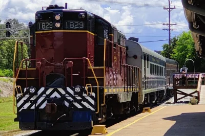 Step into chattanooga’s rail history with a vintage trolley ride, a guided train journey, and local stories. includes air-conditioned vehicle and easy booking.